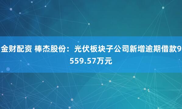 金财配资 棒杰股份：光伏板块子公司新增逾期借款9559.57万元