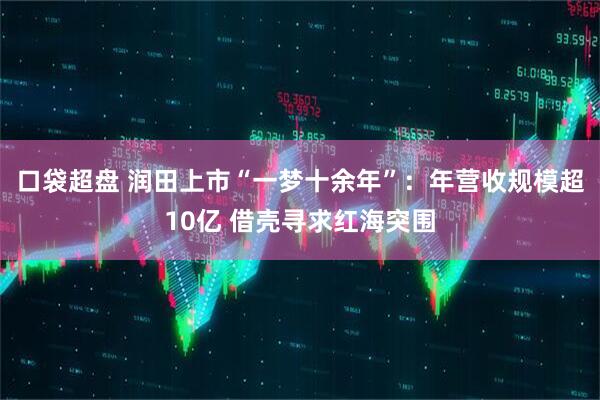 口袋超盘 润田上市“一梦十余年”：年营收规模超10亿 借壳寻求红海突围