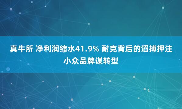 真牛所 净利润缩水41.9% 耐克背后的滔搏押注小众品牌谋转型