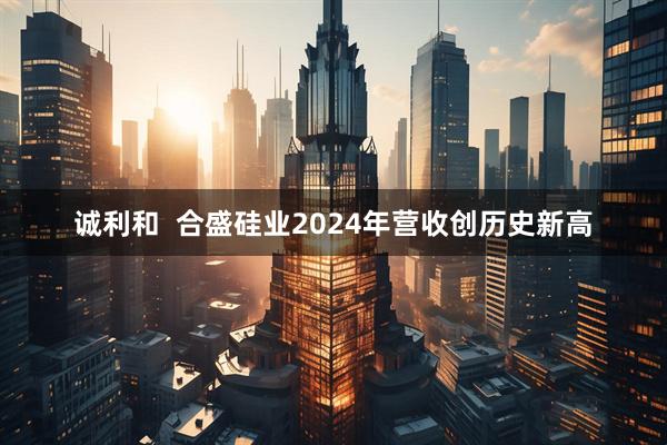 诚利和  合盛硅业2024年营收创历史新高