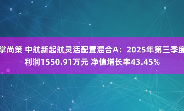 掌尚策 中航新起航灵活配置混合A:2025年第三季度利润1550.91万元 净值增长率43.45%